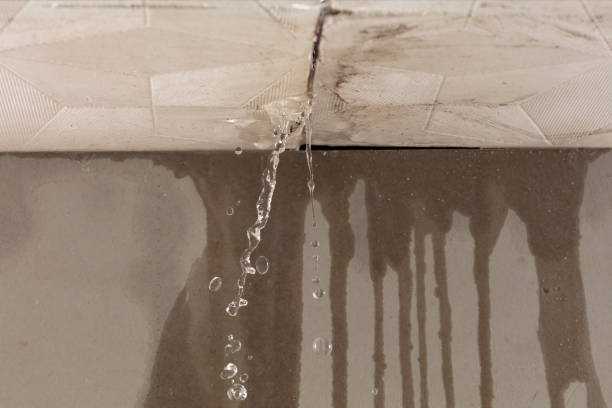 Professional Commercial Water Damage Restoration technician working in Honey Grove, TX